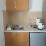 Apartamento Spiros *