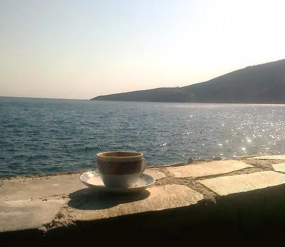 Spiros Daire Livadia (Tilos)