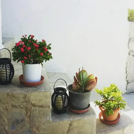 Spiros Apartment *